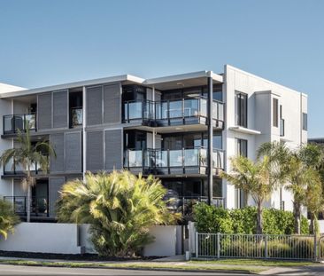 Move Into Mount Central - Mt Maunganui - Photo 1