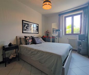 Grazioso tricolare in contesto di corte. - Photo 6