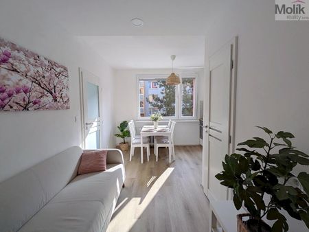 Pronájem bytu 2+kk 36 m² - Photo 2