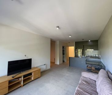 Furnished 1 Bedroom Apartment in Monash Green Estate - Photo 5