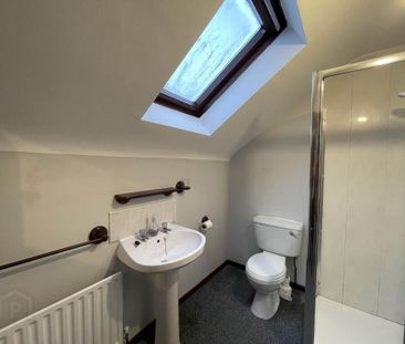 49 Blenheim Drive, Richhill, BT61 9JQ - Photo 5