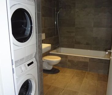 Rexmax - attrayant à tous points de vue - Photo 4