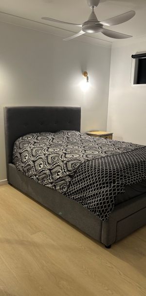 Pacific Pines - Photo 1