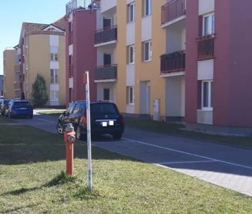 Pronájem bytu 1+1 Břeclav, Stará Břeclav. - Photo 3