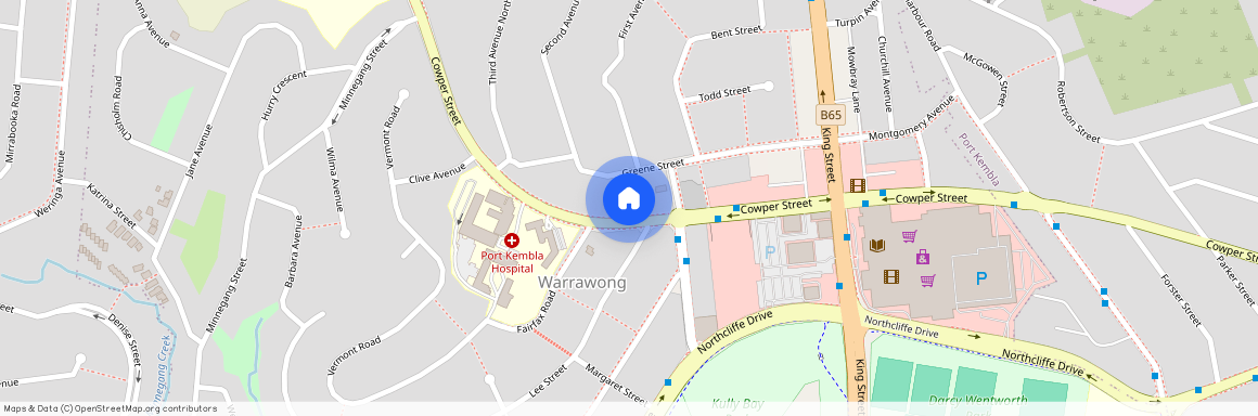 292 Cowper Street, Warrawong NSW 2502