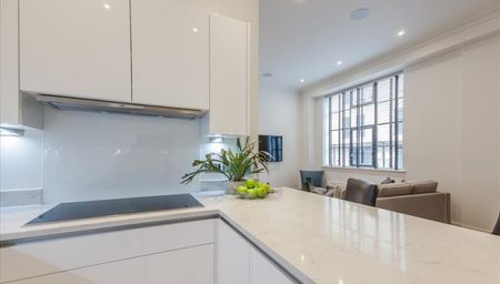 Palace Wharf Apartments, W6, London - Photo 4
