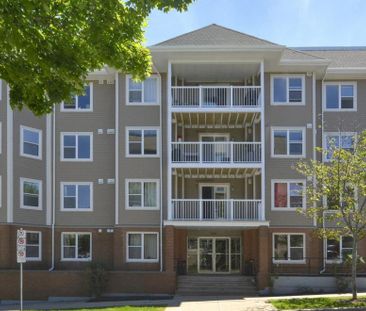 5206 Tobin Street - Photo 4