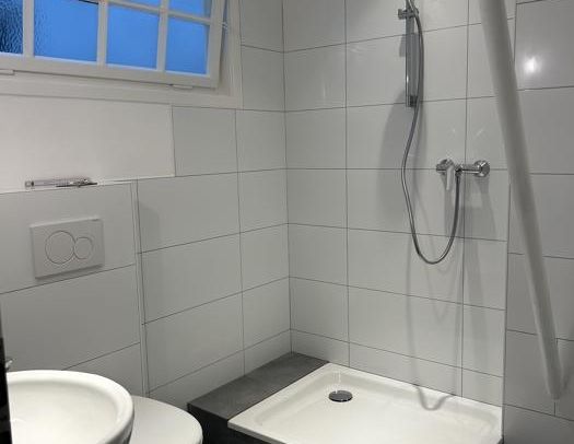 Erstbezug nach Sanierung, "-Zimmer-Wohnung mit Wohnküche und Duschbad - Photo 1