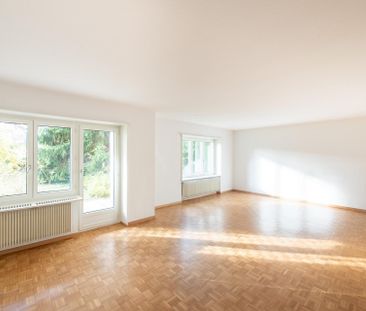 3.5 Zimmer-Wohnung in Neuhausen am Rheinfall - Photo 1