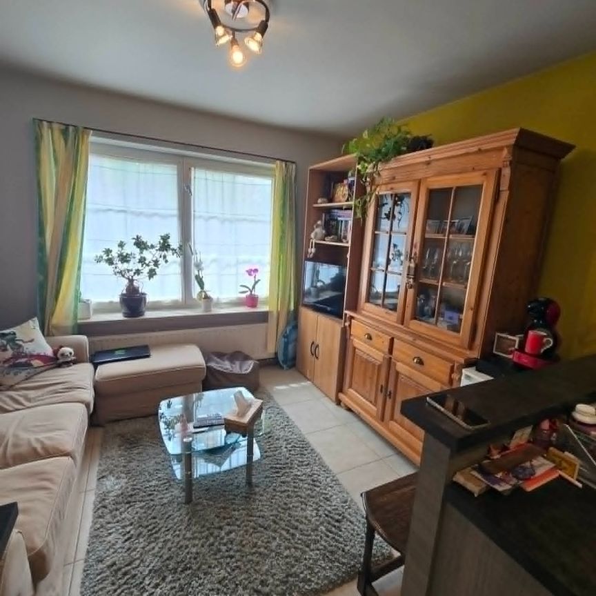 Gelijkvloers appartement te huur in Waregem - Photo 1