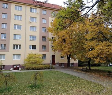 Pronájem bytu 2+1 54 m² - Photo 6