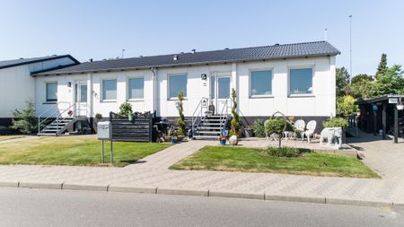 Provstejorden, Præstemarken, Klokkervangen og Degnelodden - Photo 4