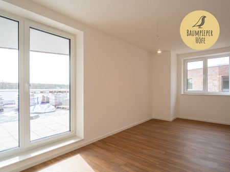 Dachterrasse und Loggia: 3-Zimmer-Wohnung mit viel Platz! (kein Jobcenter, WBS) - Foto 2