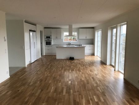 Arild - 3rok - tillsv - 10.810kr/mån - Photo 5