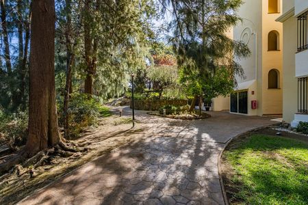 Alameda de las Brisas - Photo 2