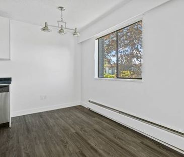 Dorchester Apartments - 1 Bedroom - Available Now - Photo 3