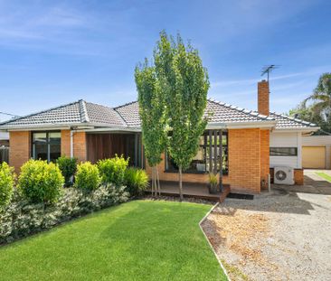 Fully Renovated - Sun-drenched, Three Bedroom Home - Photo 3