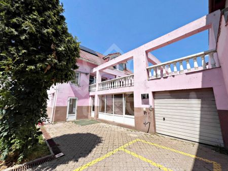 Casa cu 6 camere de inchiriat in Rogerius - Fotografie 5