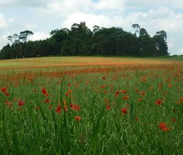 Folly View Road, Faringdon, SN7 - Photo 4