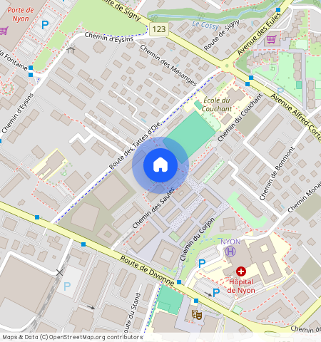 Route des Tattes d'Oie **, Nyon