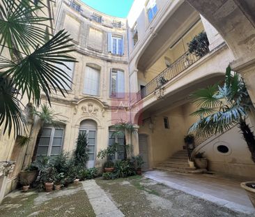 LOCATION APPARTEMENT 2 PIÈCES MONTPELLIER ECUSSON CANOURGUE - Photo 5