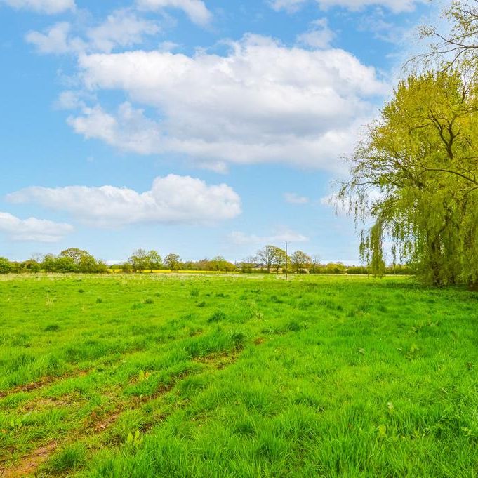 5 bedroom house to rent - Photo 1