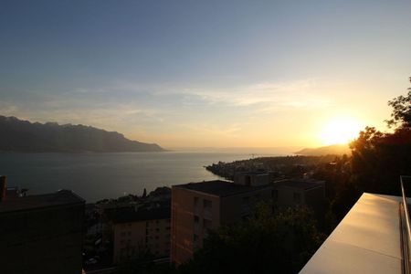 Splendide Attique avec une vue panoramique sur le lac - Foto 4