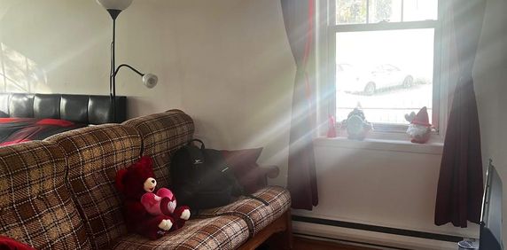 1 CH - 1 SDB - Sherbrooke - $825 /mo - Photo 2