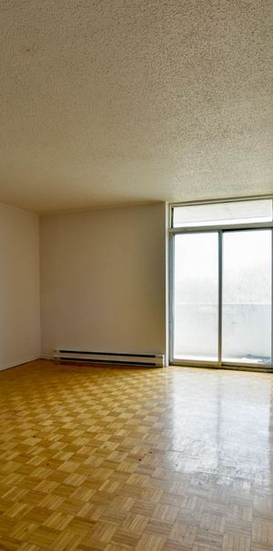 1595 Rachel - Photo 1