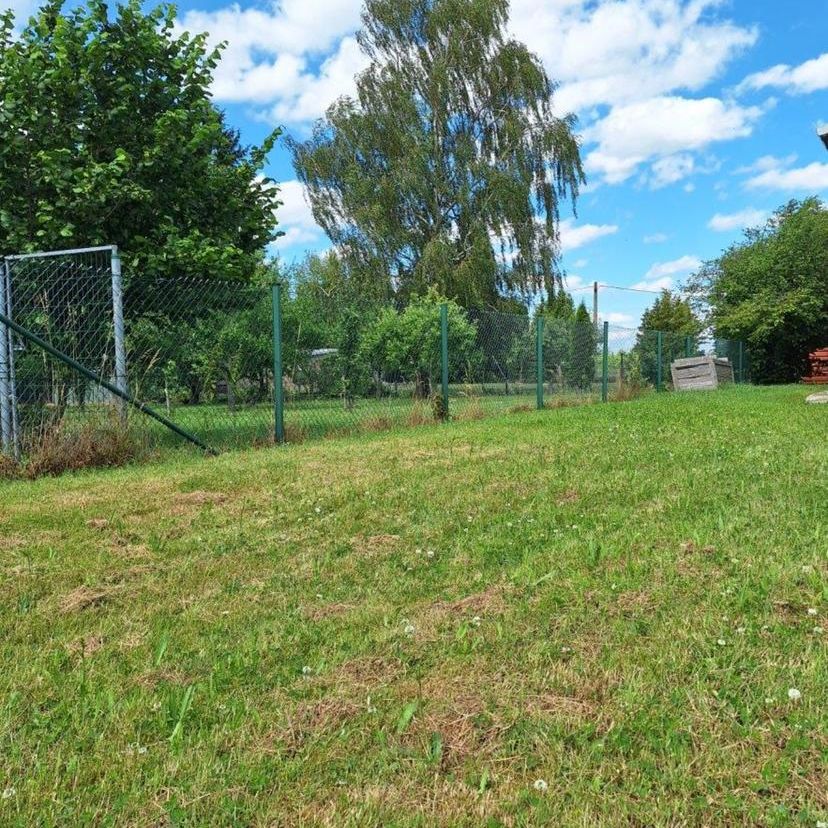 Frisch renovierte gemütliche 3-Raum Wohnung - Photo 1