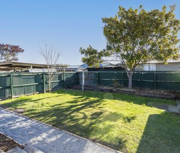 11A Eglinton Street, Avondale - Photo 6