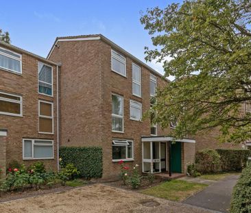 1 bedroom flat to rent - Photo 6