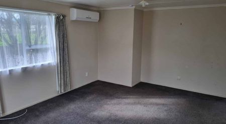 TWO BEDROOMS - FEILDING - Photo 3
