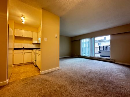 1 Bedroom With Storage & Patio – Prime New Westminster Location - Photo 4