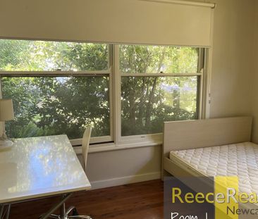 18 Sunset Boulevard, North Lambton, NSW 2299 - Photo 4