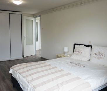 Warande - Photo 4