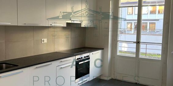 GENEVA – SUBLIME APARTMENT WITH BALCONY - Photo 3