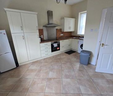 1 Gaol Lane Mews, Downpatrick, BT30 6BF - Photo 6