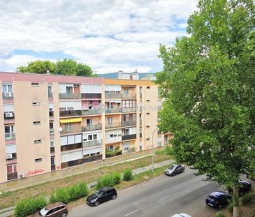 Kiadó jó állapotú panel lakás - Pécs - Photo 3