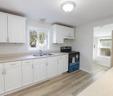 For Lease - 389 Glendale Avenue, St. Catharines, Ontario - Photo 4