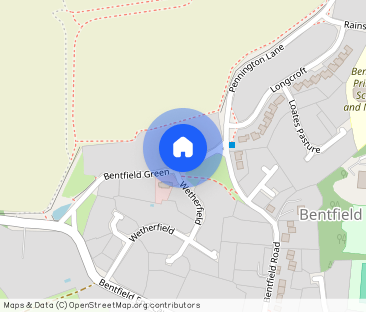 Stocking Pelham - Photo 1