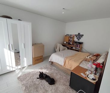 Appartement à louer 3 pièces • Sept-Sorts - Photo 4
