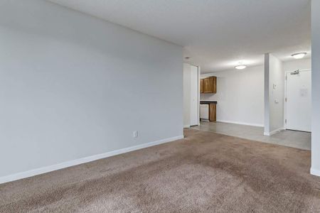 1 Bedroom - Photo 3
