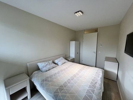 Johan de Wittstraat - Foto 3