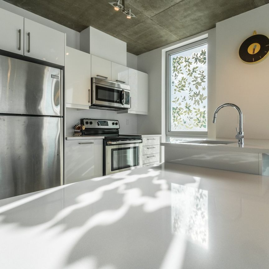 Condo for rent, Montréal (Le Sud-Ouest) - Photo 1