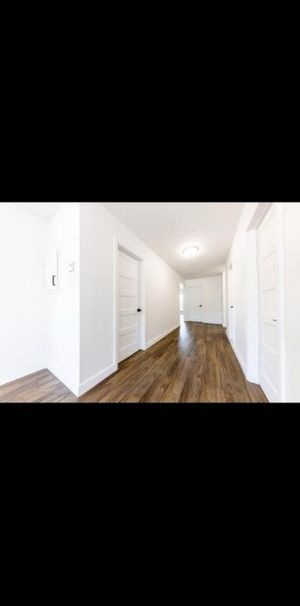 5 1/2 - Montréal (Saint-Leonard) - 1 900 $/mois - Photo 1