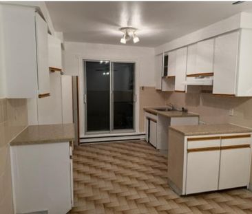 BEAU ET GRAND 4.5 LIBRE MAINTENANT RÉNOVÉ PEINTURÉ MONTREAL NORD - Photo 4