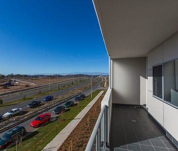 37/40 Philip Hodgins Street, Wright ACT 2611 - Apartment For Rent |... - Photo 4