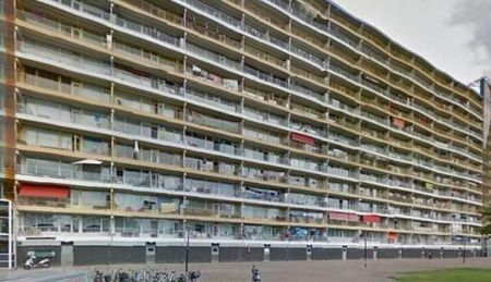 Pharus 1503 EC Zaandam - Photo 5