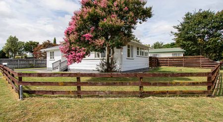 Charming 3 Bedroom Home - Photo 3